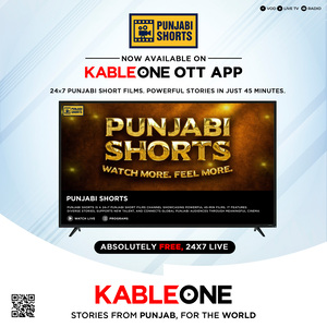 Punjabi Shorts