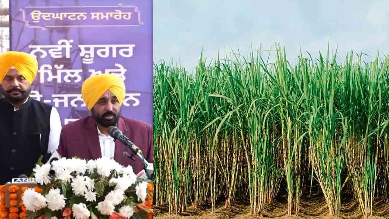 Cm Mann Sugarcane Price Increased, CM ਮਾਨ ਵੱਲੋਂ ਗੰਨਾ ਕਿਸਾਨਾਂ ਲਈ ਵੱਡਾ ਐਲਾਨ