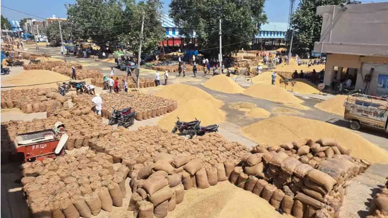 यूपी में धान खरीद हुई शुरू, पंजीकरण की जानकारी नहीं, तो हो जाओ नुकसान उठाने के लिए तैयार