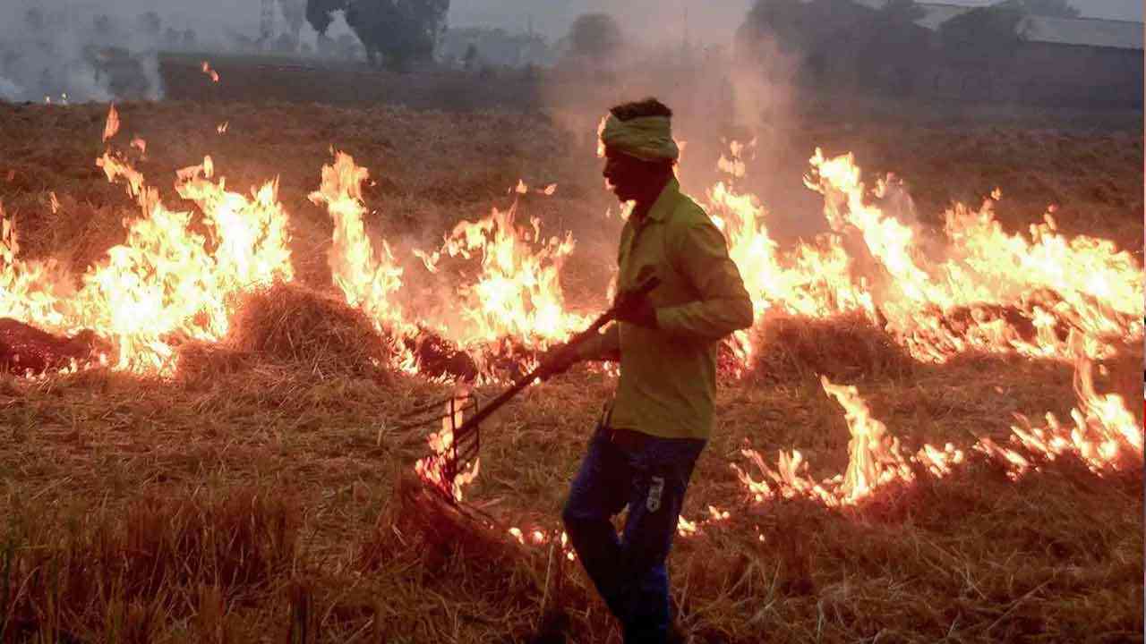 7,000 FIRs, no action: Punjab sits on farm fire cases || 7 ਹਜ਼ਾਰ FIR— ਪਰ ਕਾਰਵਾਈ ਸਿਫਰ !