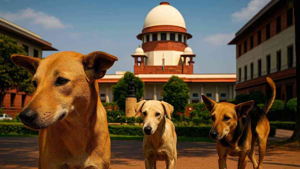 सरकारी संस्थानों, रेलवे स्टेशनों और बस स्टेशनों से कुत्तों को हटाइए और नसबंदी कीजिए: सुप्रीम कोर्ट