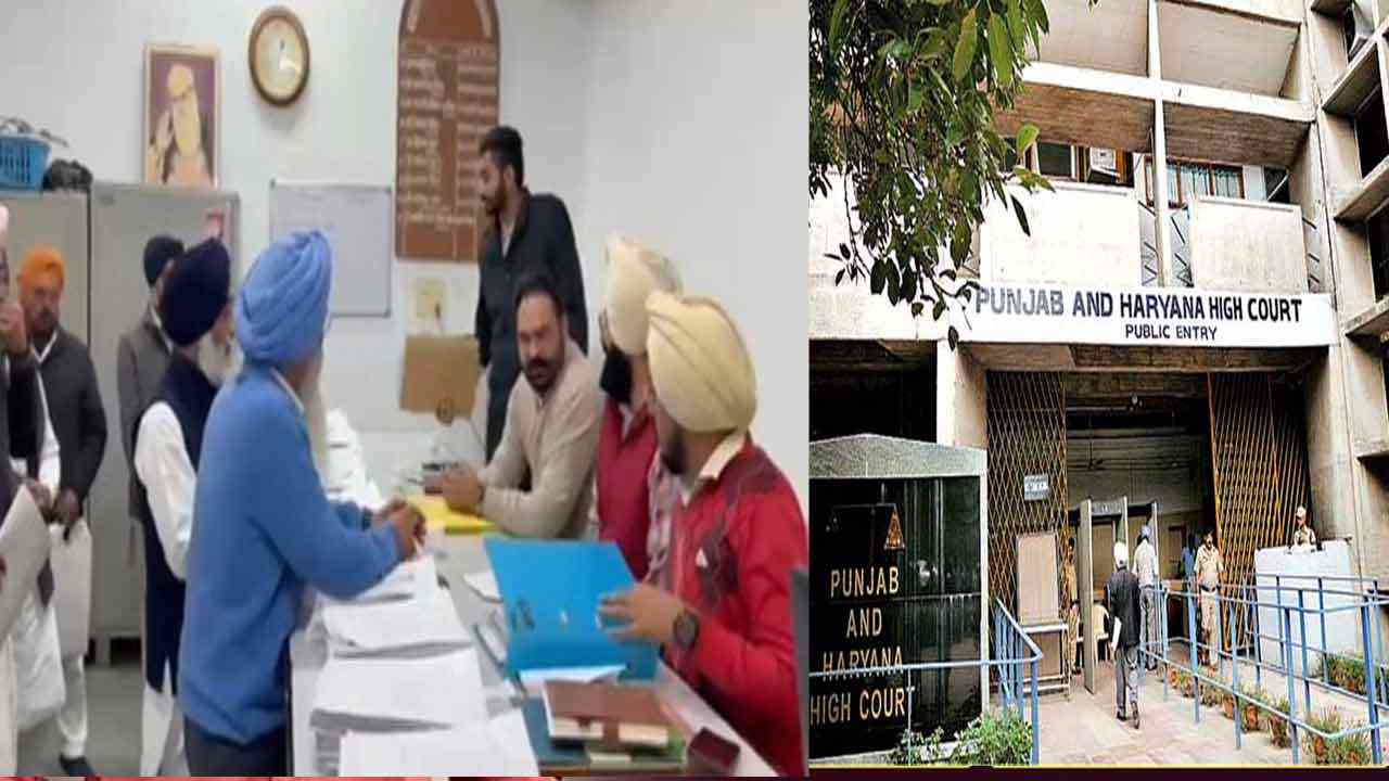Congress petition in highcourt, ਜ਼ਿਲ੍ਹਾ ਪਰਿਸ਼ਦ ਚੋਣਾਂ ਨੂੰ ਲੈ ਕੇ HC ਪਹੁੰਚੀ ਕਾਂਗਰਸ