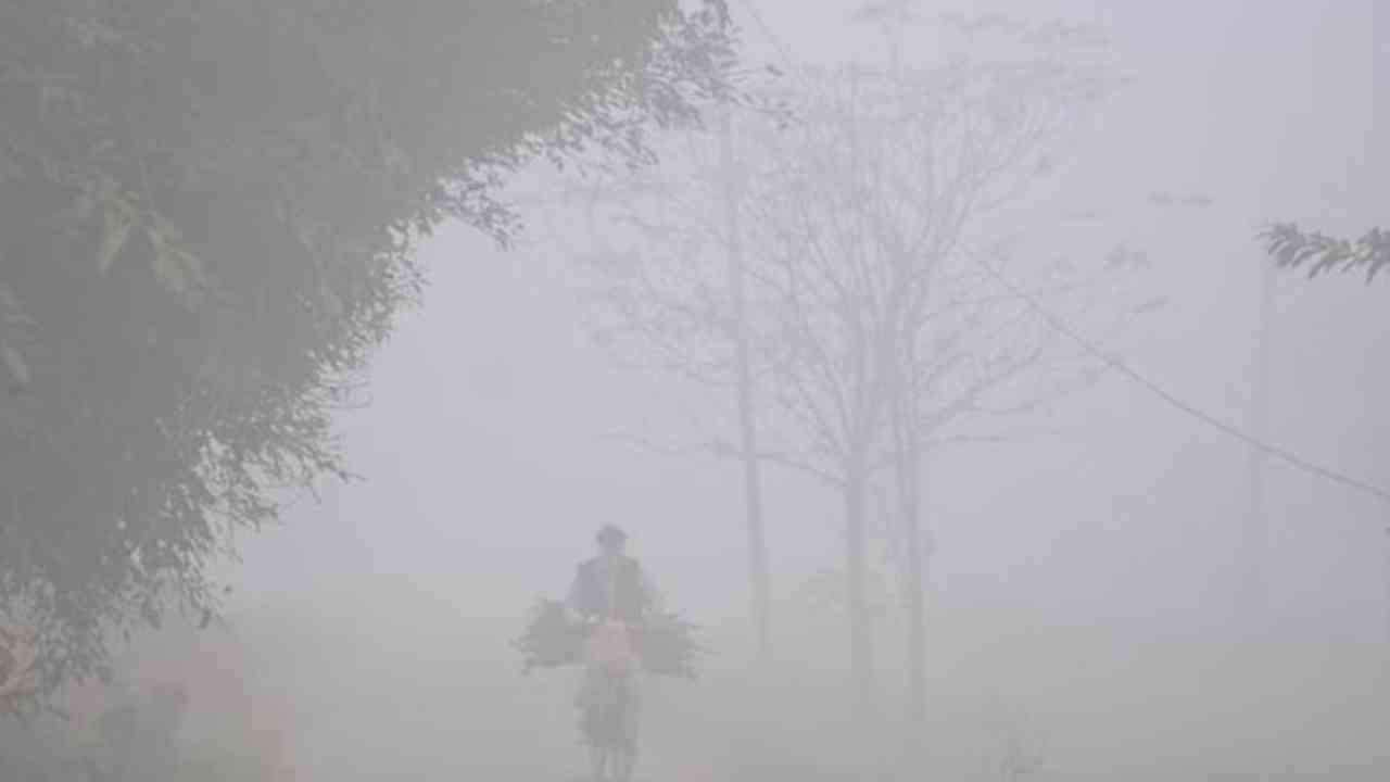 Severe cold grips Punjab: ਕੜਾਕੇ ਦੀ ਠੰਢ ਨੇ ਠਾਰਿਆ ਪੰਜਾਬ