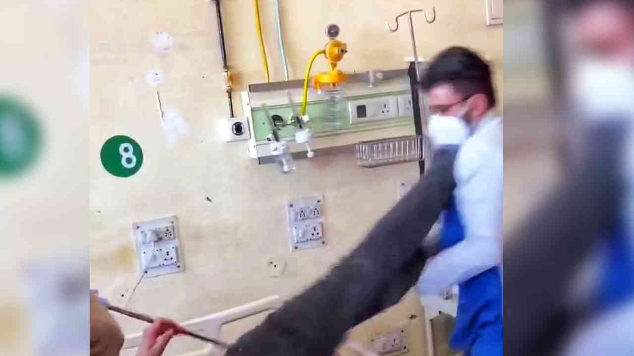 IGMC case: ਡਾਕਟਰਾਂ ਵੱਲੋਂ ਅਣਮਿੱਥੇ ਸਮੇਂ ਲਈ ਹੜਤਾਲ