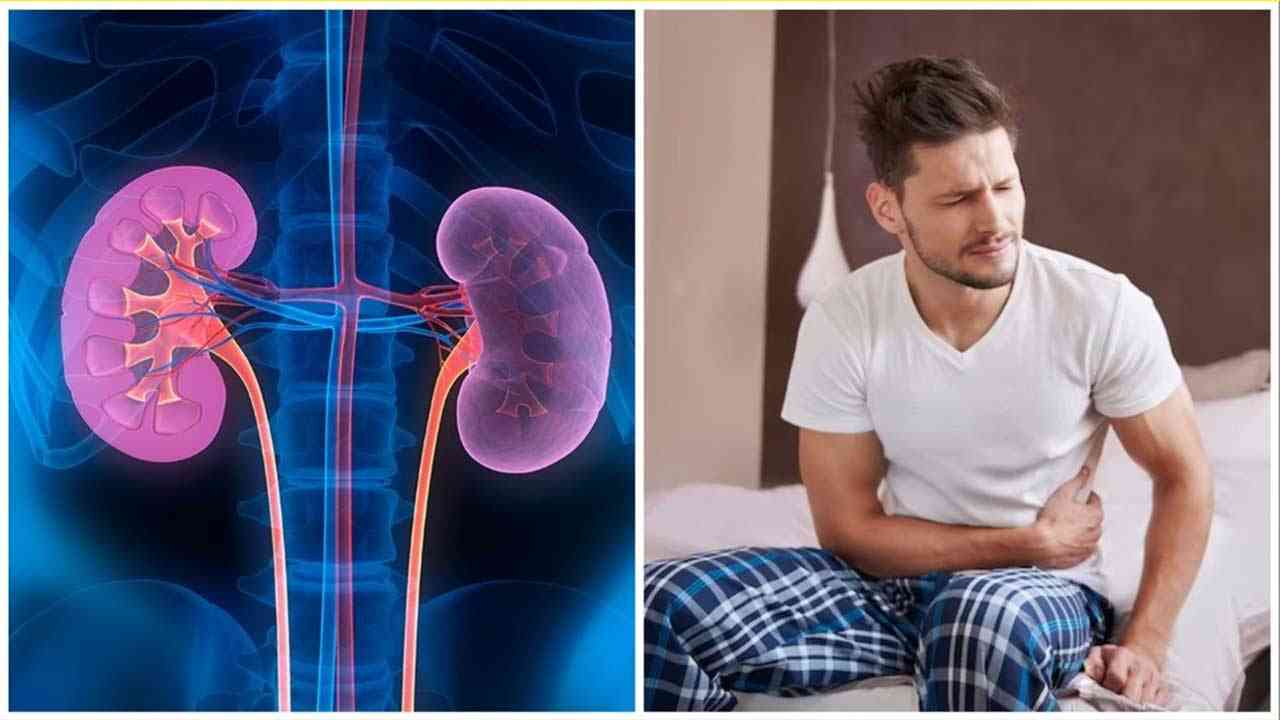 ALERT: ਭਾਰਤ 'ਚ 13 ਕਰੋੜ ਲੋਕਾਂ ਦੇ KIDNEY FAIL ! ਜਾਣੋ ਕਿਉਂ ਵੱਧ ਰਹੇ ਮਾਮਲੇ?