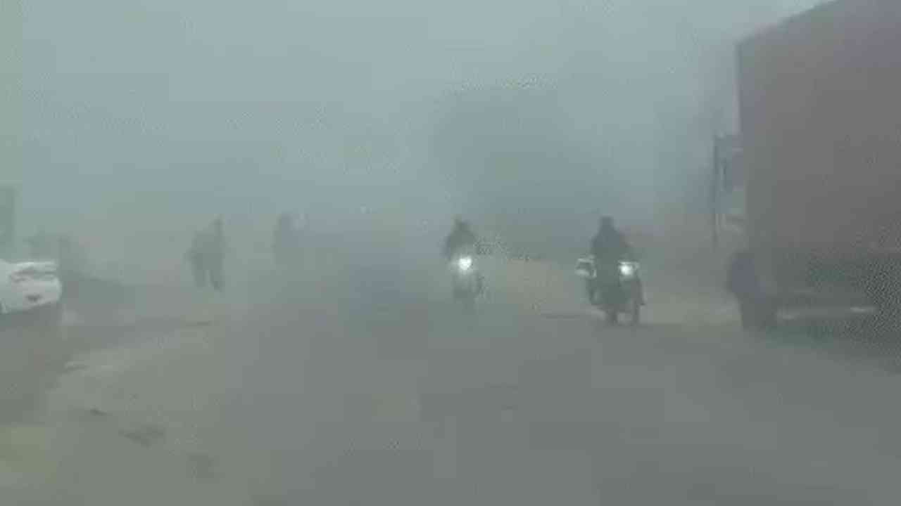 ਚੰਡੀਗੜ੍ਹ 'ਚ ਛਾਈ ਧੁੰਦ,ਘੱਟ ਵਿਜ਼ੀਬਲਿਟੀ ਕਾਰਨ ਵਾਹਨਾਂ ਦੀ ਰਫਤਾਰ ਹੌਲੀ