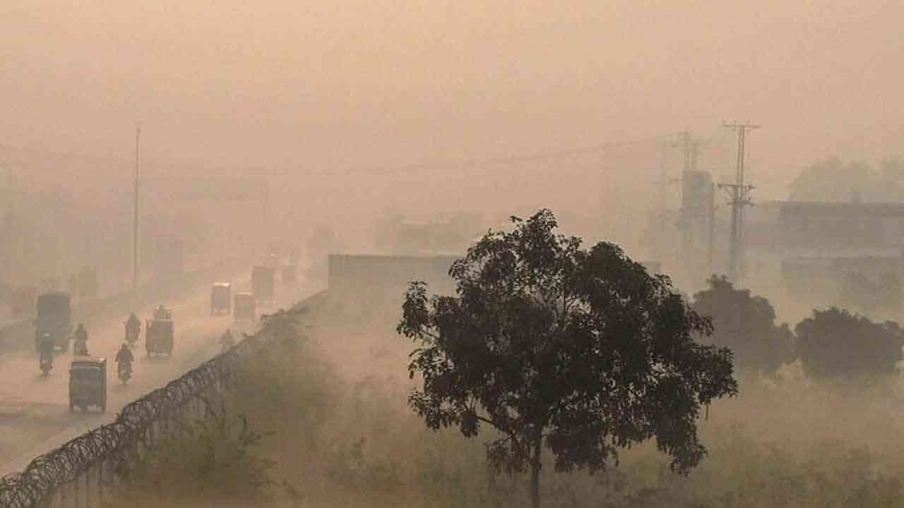 ਪੰਜਾਬ ਵਿੱਚ ਠੰਢ...8 ਜ਼ਿਲ੍ਹਿਆਂ ਵਿੱਚ ਯੈਲੋ ਅਲਰਟ ਜਾਰੀ