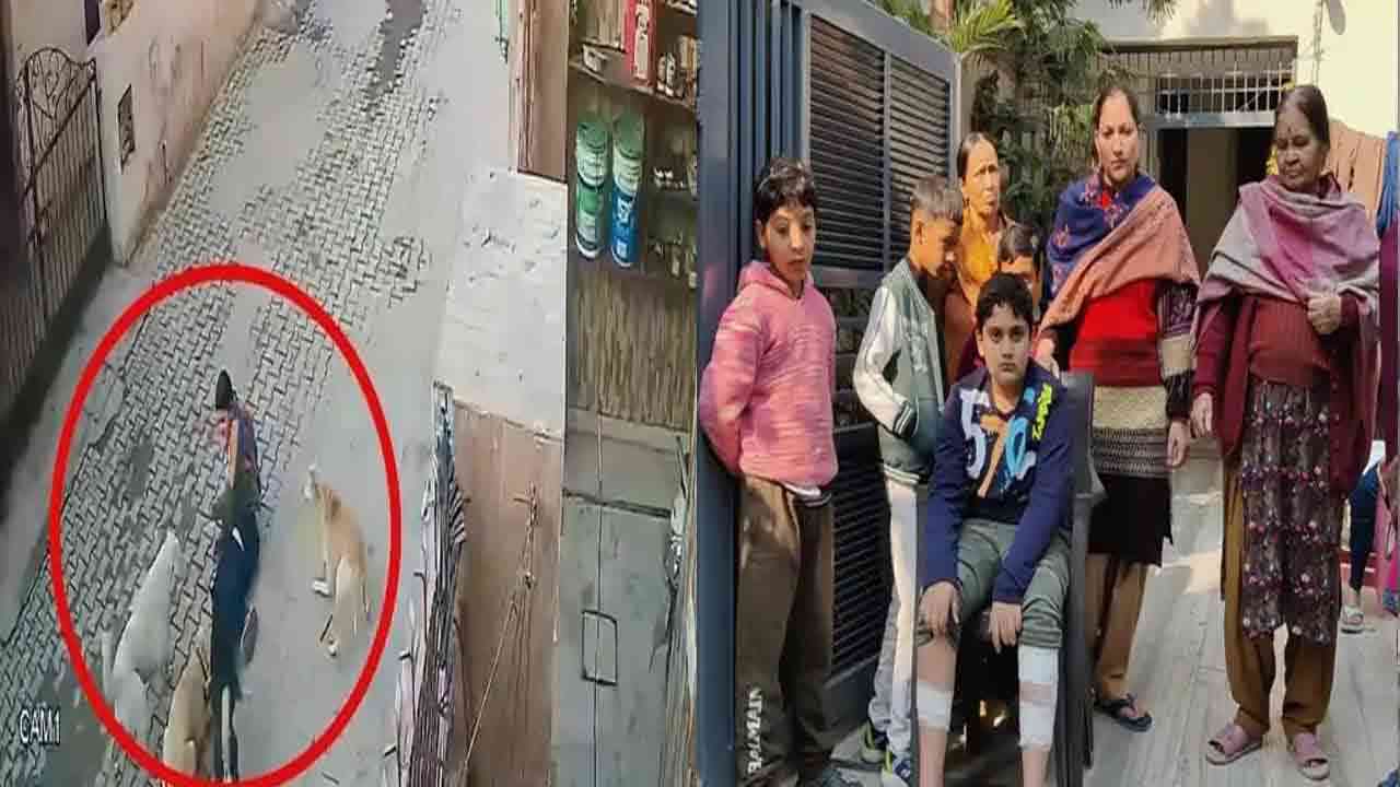 ਮੋਹਾਲੀ ਵਿੱਚ ਅਵਾਰਾ ਕੁੱਤਿਆਂ ਦਾ ਵਧਿਆ ਆਤੰਕ !