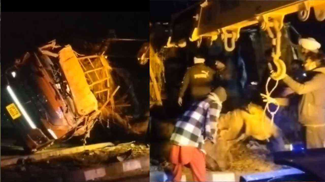 Barnala Accident: ਮੱਝਾਂ ਨਾਲ ਭਰਿਆ ਟਰੱਕ ਪਲਟਿਆ,  5 ਮੱਝਾਂ ਦੀ ਮੌਤ