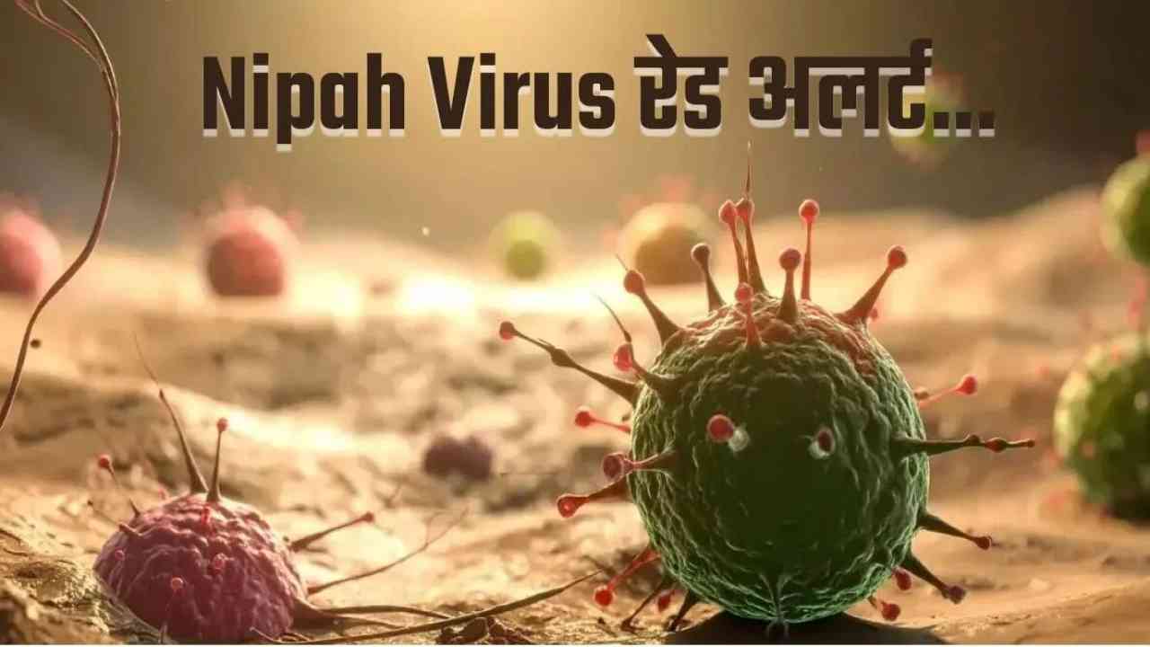 निपाह वायरस का मुक़ाबला करने के लिए तैयार है भारत, 'निपाह-बी' वैक्सीन का फेज़-2 ट्रायल बनी उम्मीद!