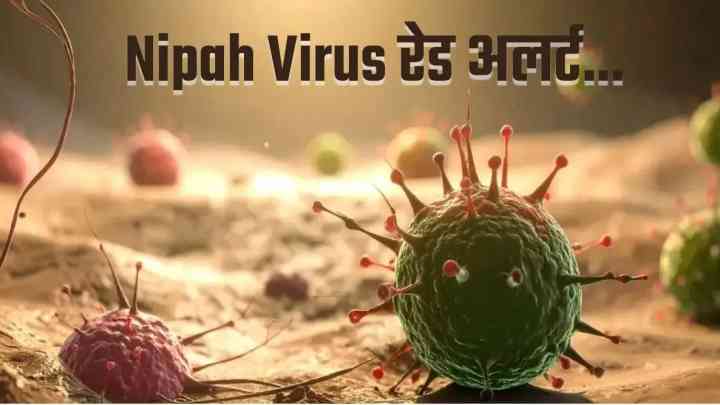 निपाह वायरस का मुक़ाबला करने के लिए तैयार है भारत, 'निपाह-बी' वैक्सीन का फेज़-2 ट्रायल बनी उम्मीद!