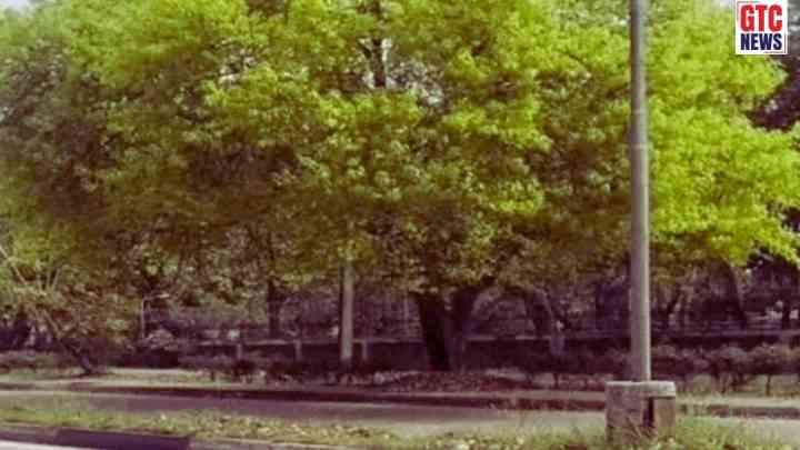 Punjab Weather: ਸਾਵਧਾਨ! ਪੰਜਾਬ 'ਚ ਬਦਲਣ ਵਾਲਾ ਹੈ ਮੌਸਮ ਦਾ ਮਿਜ਼ਾਜ, ਮੌਸਮ ਵਿਭਾਗ ਨੇ ਤੇਜ਼ ਹਵਾਵਾਂ-ਹਨੇਰੀ ਸਣੇ ਮੀਂਹ ਦੀ ਕੀਤੀ ਭਵਿੱਖਬਾਣੀ