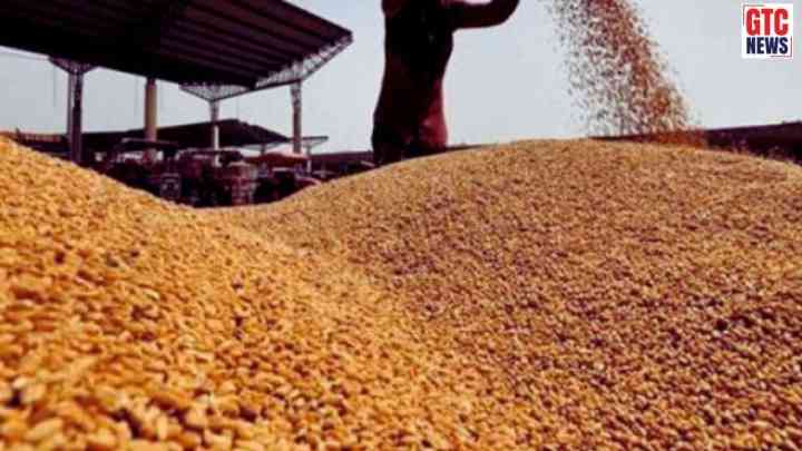 Punjab News: ਕਿਸਾਨਾਂ ਲਈ ਵੱਡੀ ਖ਼ਬਰ, 1 ਅਪ੍ਰੈਲ ਤੋਂ ਕਣਕ ਦੀ ਖਰੀਦ ਸ਼ੁਰੂ, ਦੂਜੇ ਸੂਬਿਆਂ ਤੋਂ ਆਉਣ ਵਾਲੀ ਕਣਕ 'ਤੇ ਰੋਕ, ਮੰਡੀਆਂ 'ਚ ਨਿਗਰਾਨੀ ਵਧੀ