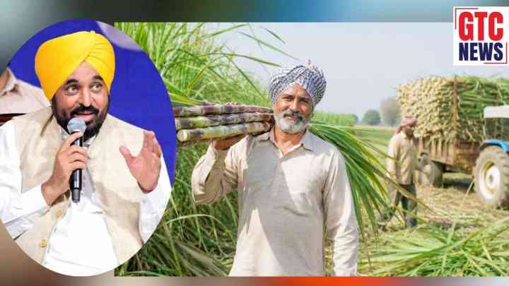 ਪੰਜਾਬ ਦੇ ਗੰਨਾ ਕਿਸਾਨਾਂ ਲਈ ਖੁਸ਼ਖਬਰੀ; ਸਰਕਾਰ ਨੇ 100 ਫੀਸਦੀ ਬਕਾਏ ਦਾ ਕੀਤਾ ਭੁਗਤਾਨ, CM ਮਾਨ ਨੇ ਦਿੱਤੇ 695 ਕਰੋੜ ਰੁਪਏ