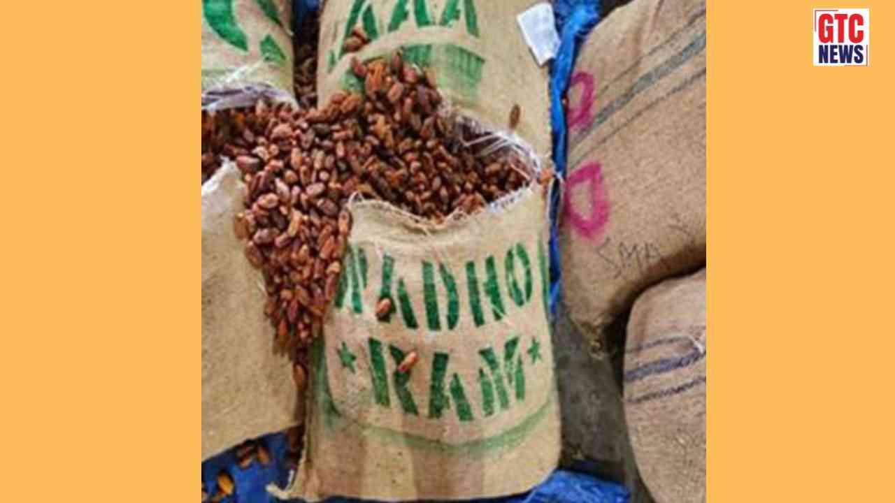 DRI busts Pakistan-origin imports; Seizes over 362 MT dry dates in Nashik