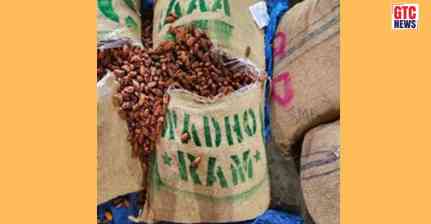 DRI busts Pakistan-origin imports; Seizes over 362 MT dry dates in Nashik